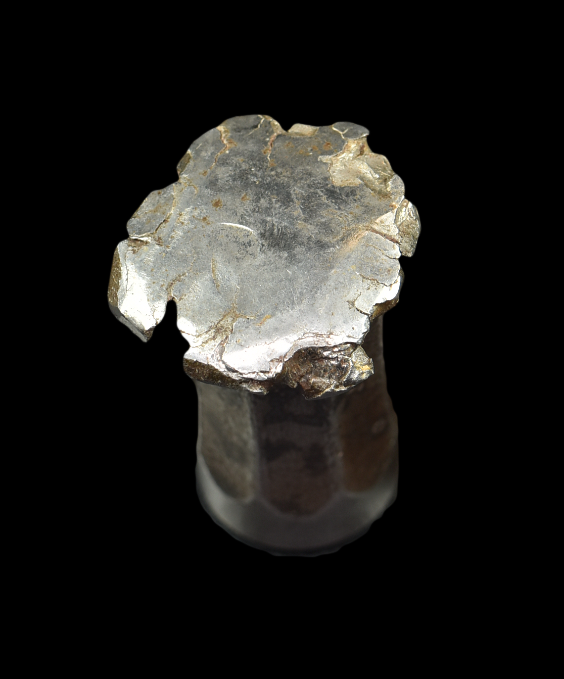 1920-NYAO-Punch-Die-Mushroom 1920-NYAO-Punch-Die-Mushroom